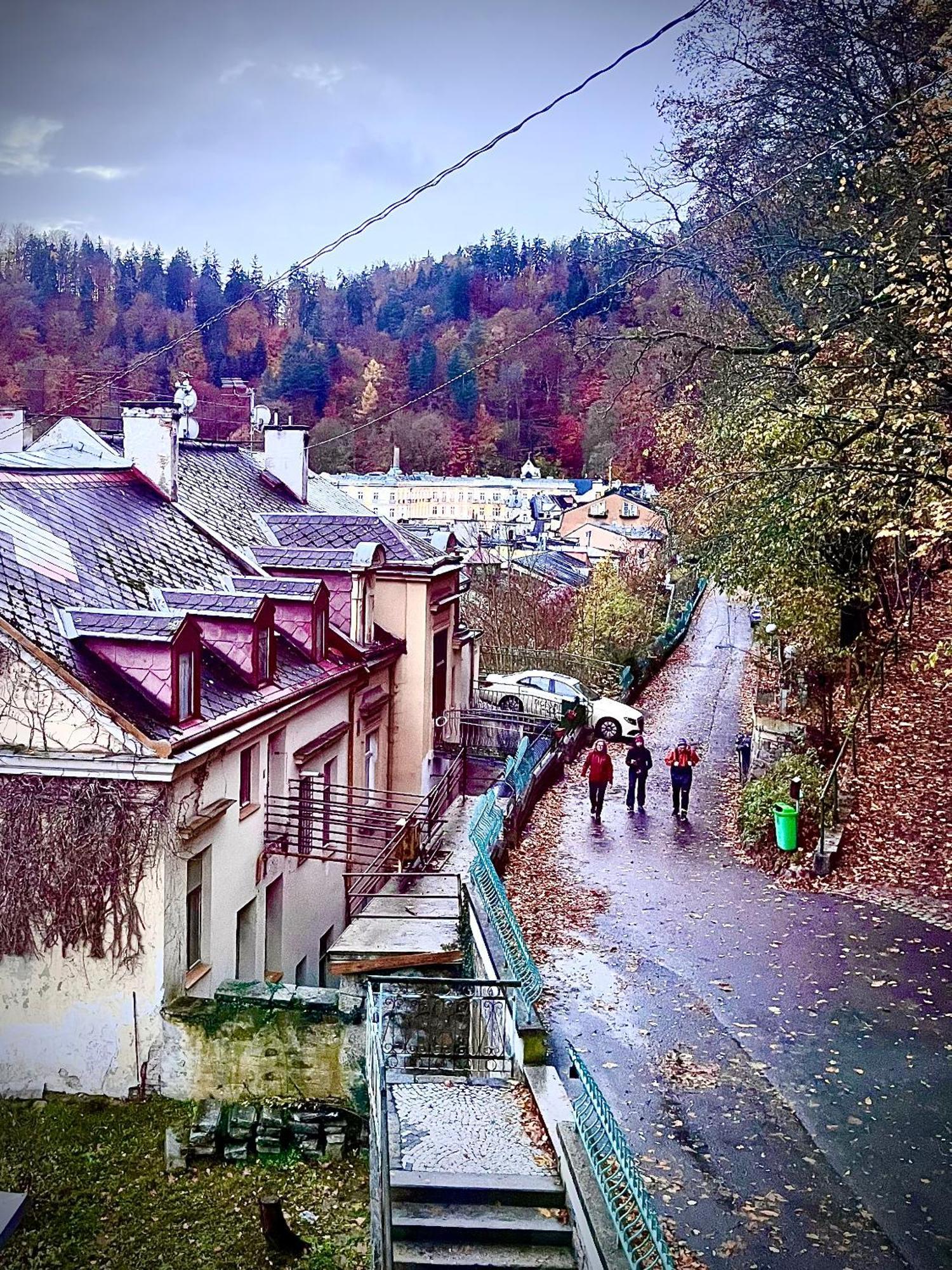 Bohemian City - Amazing View, Garage Karlovy Vary Kültér fotó